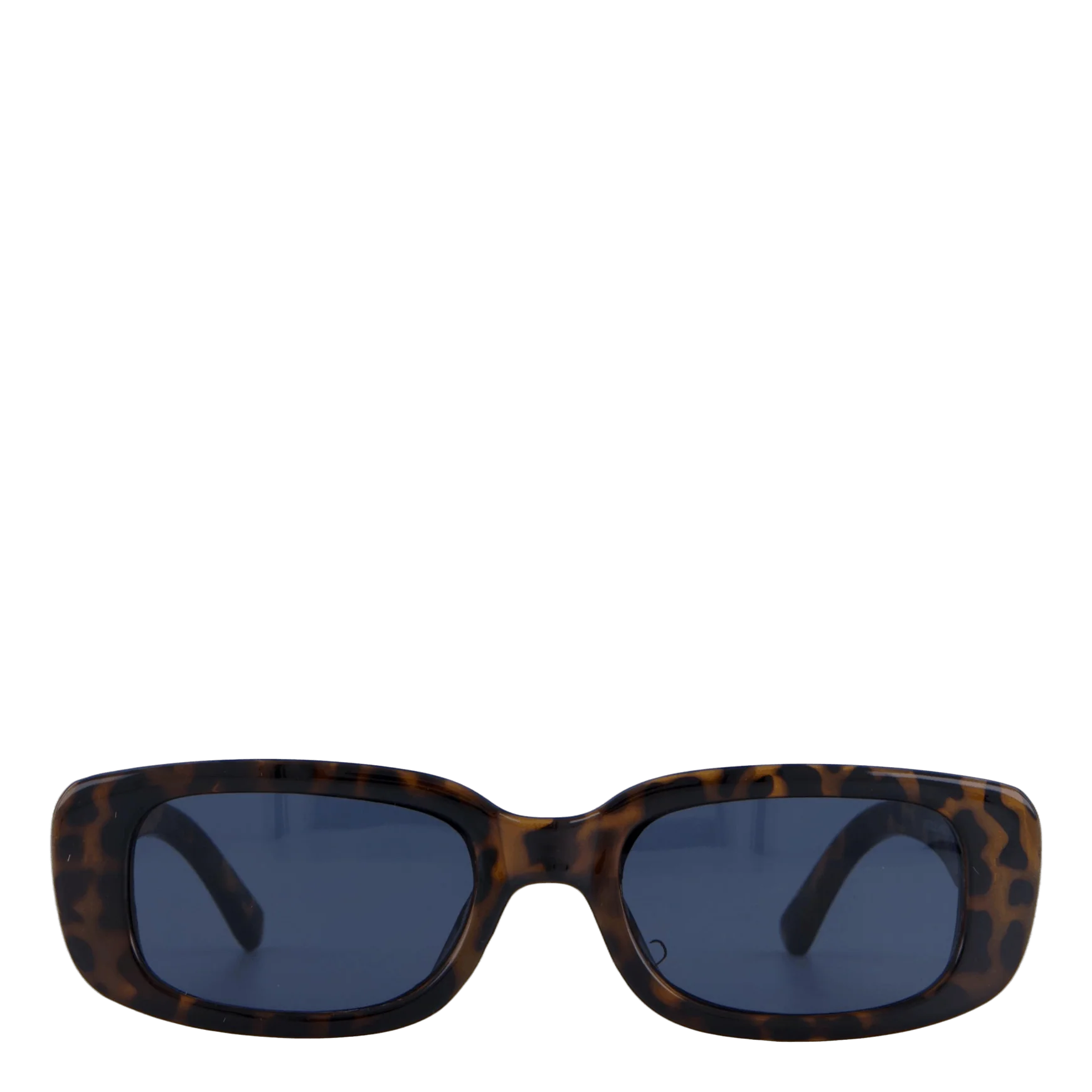Nicole Leopard - Image 3