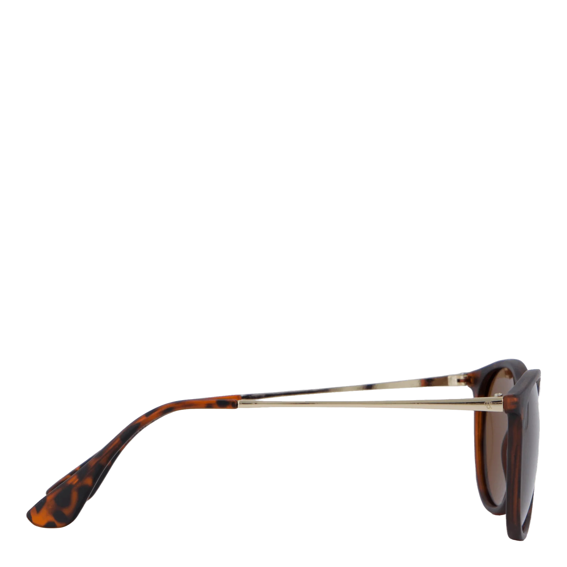 Roma Turtle Brown / Brown - Image 4
