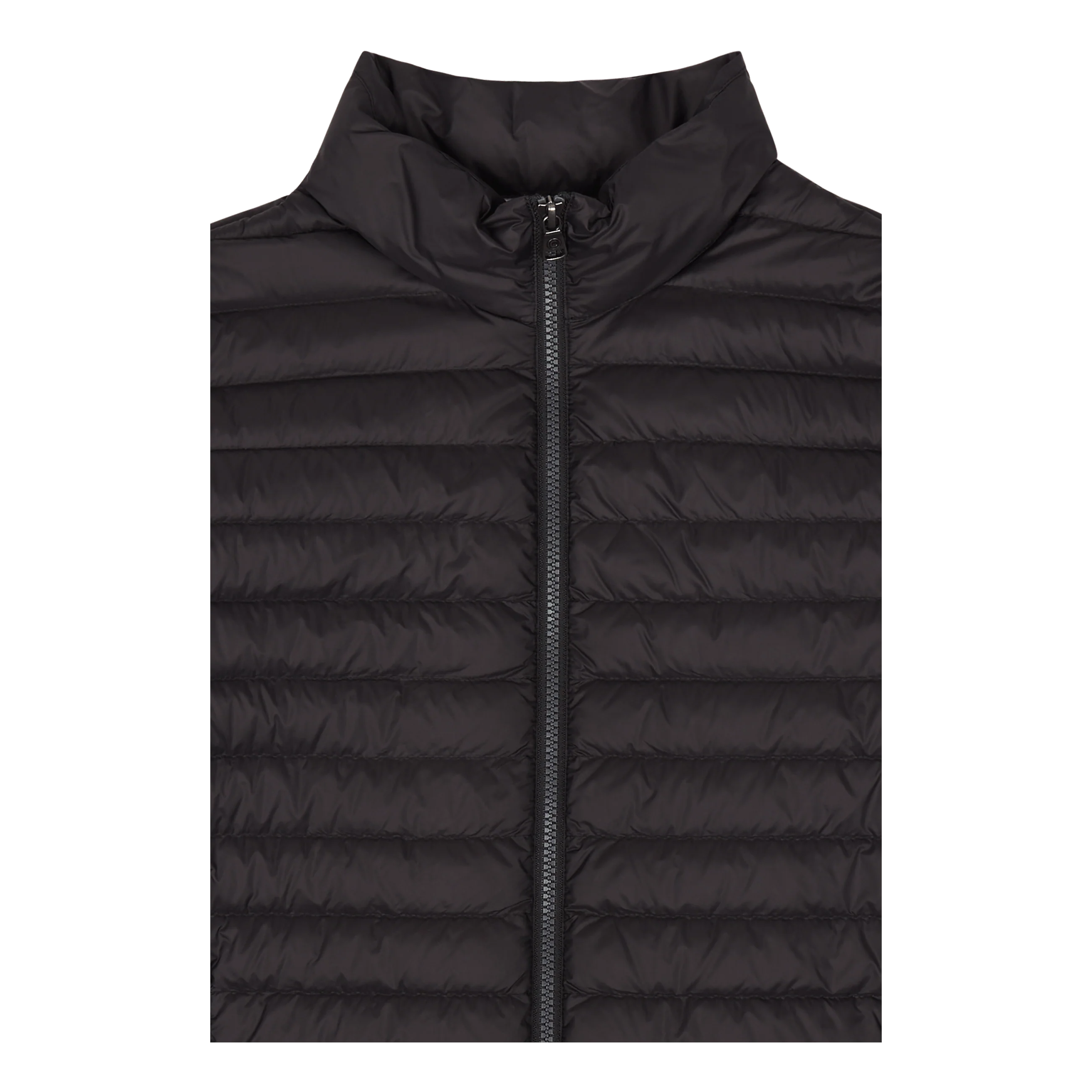 Downjacket 99 -ice - Image 3