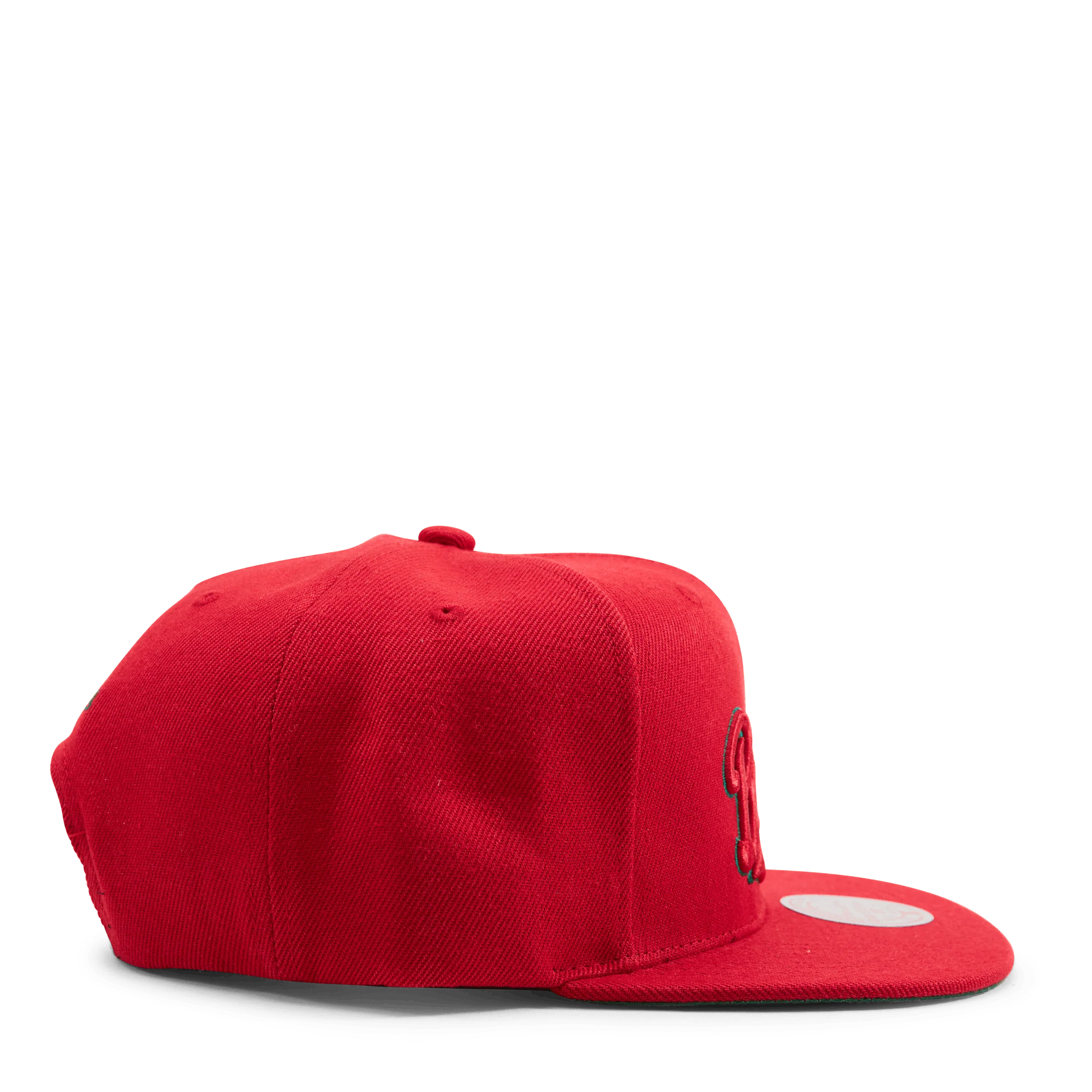 Bucks Two Tonal Snapback HWC - Image 4