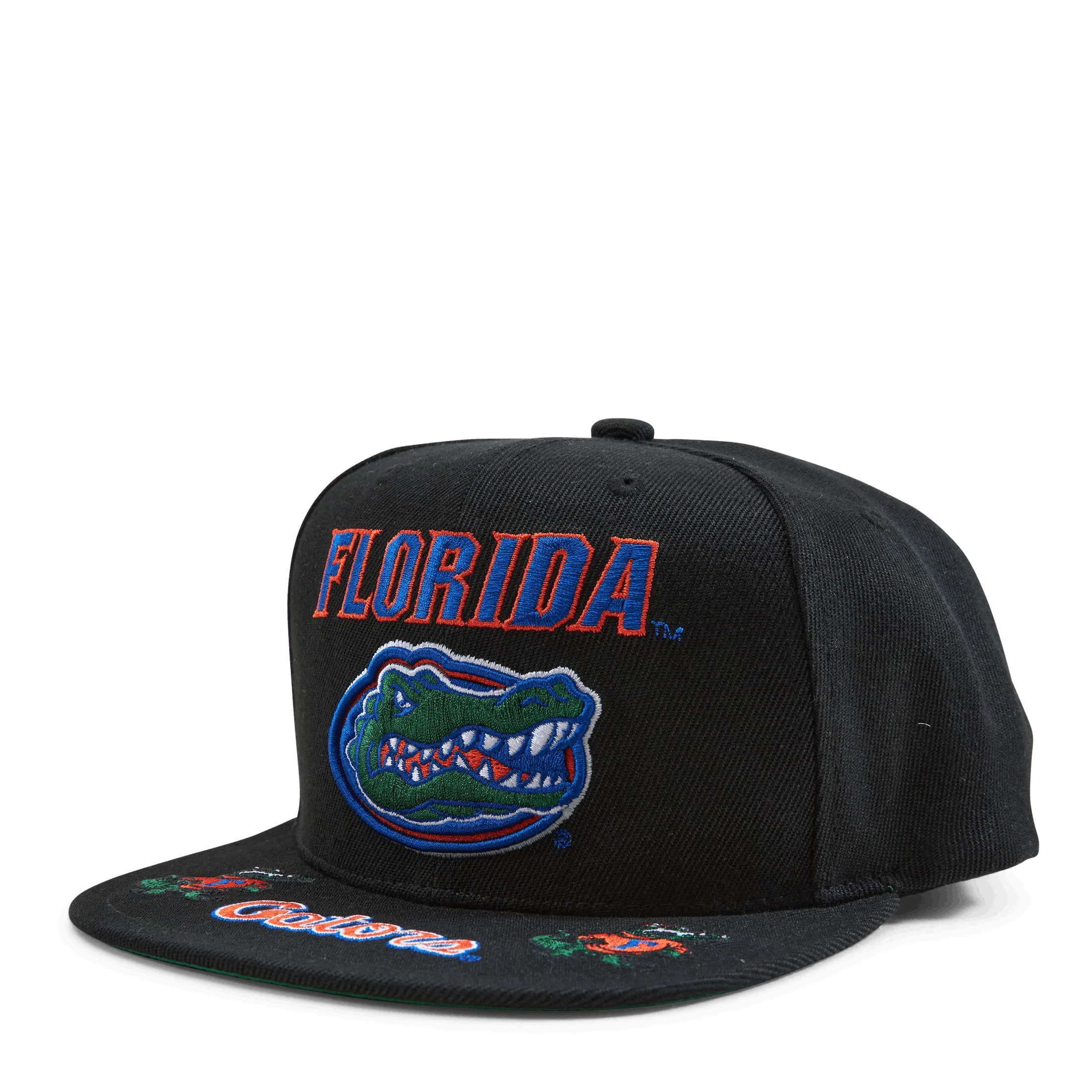 Gators Front Loaded Snapback