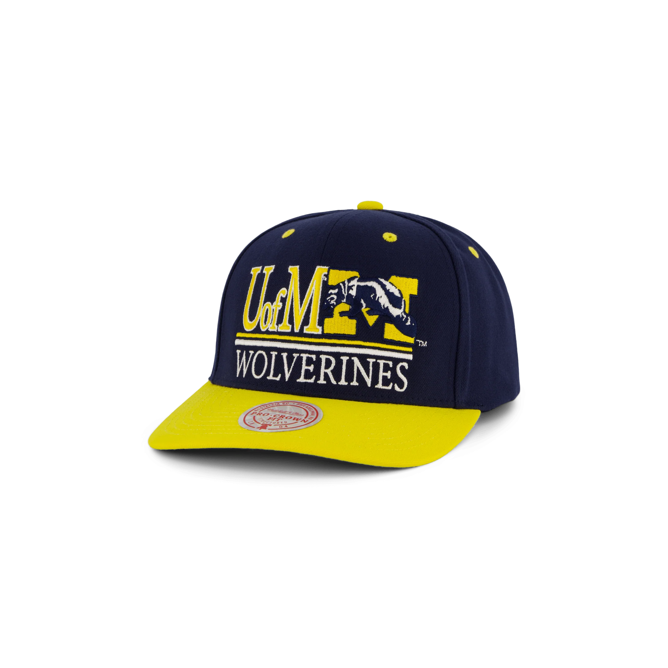Wolwerines GPA Snapback