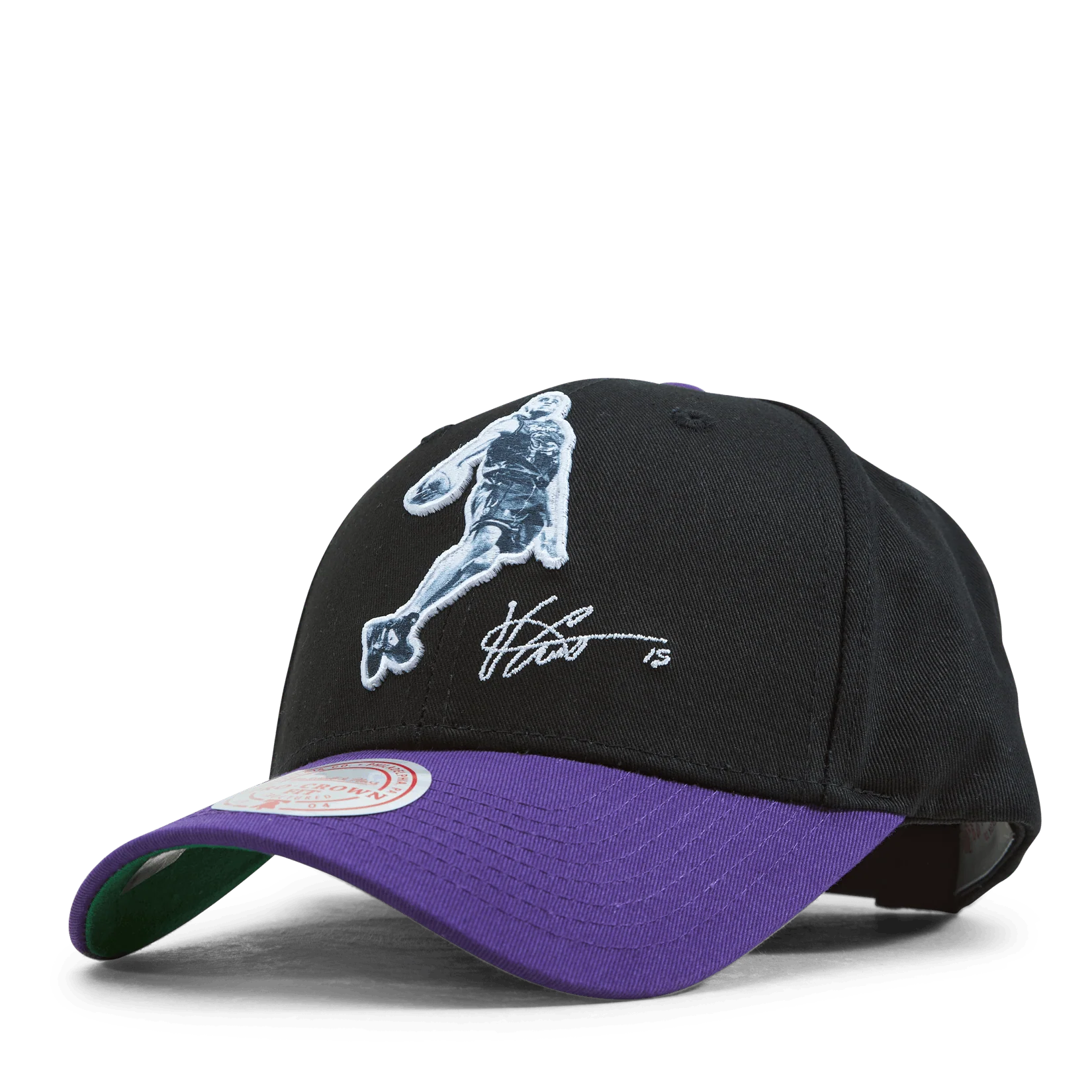 Raptors Highlight Real Carter Snapback