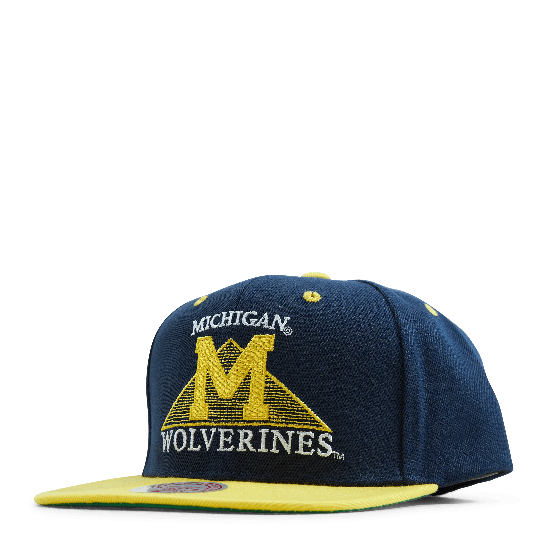 Michigan Monument Snapback