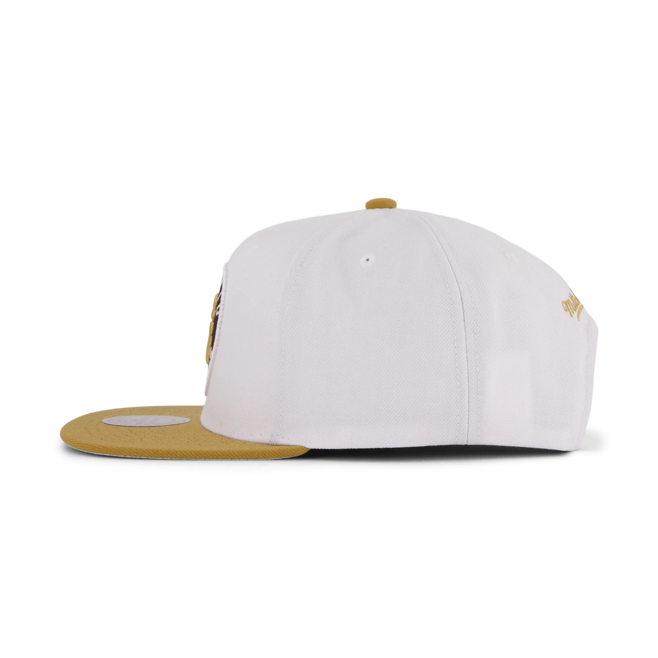 Raptors Side Core 2.0 Snapback - Image 2