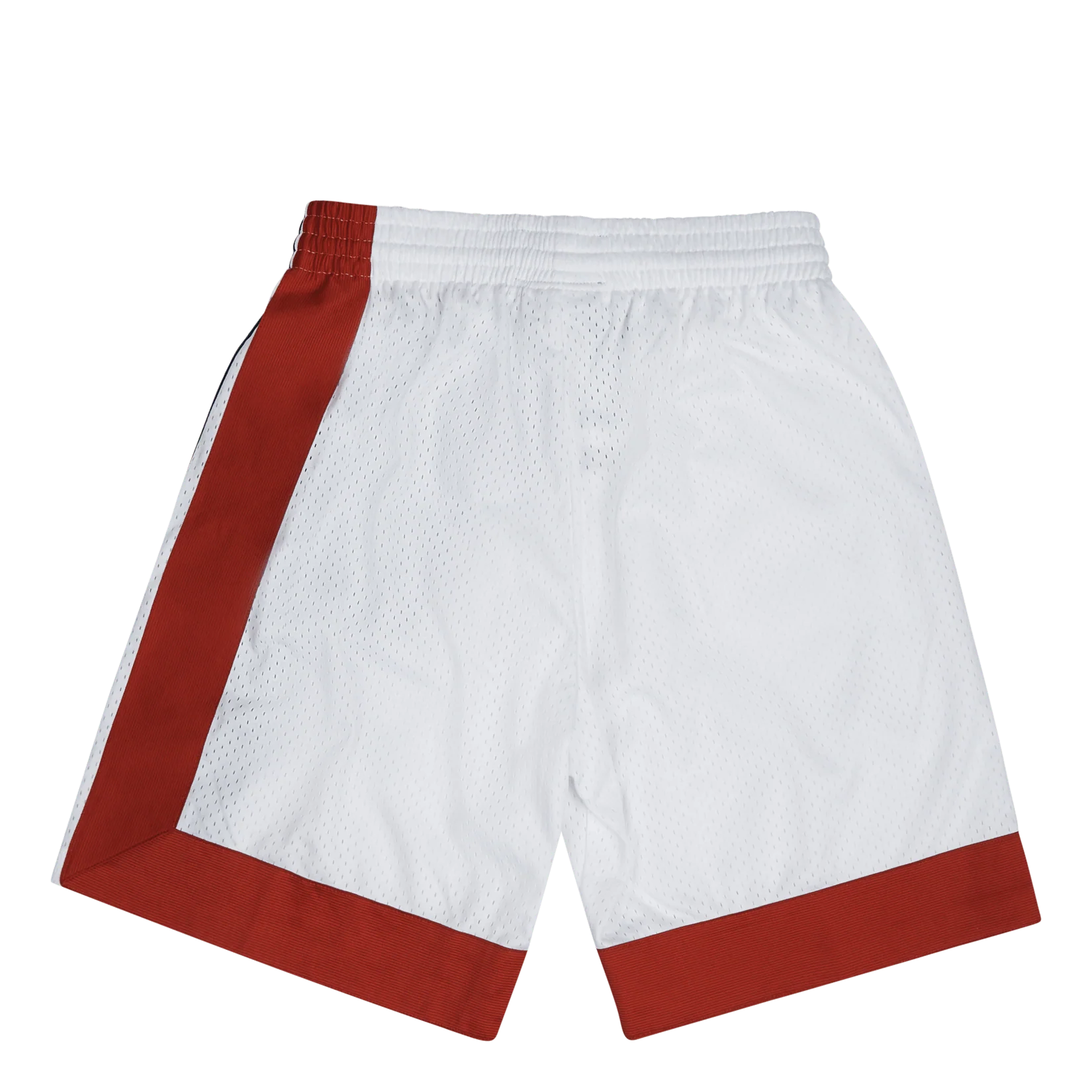 Nets Swingman Shorts 73-74