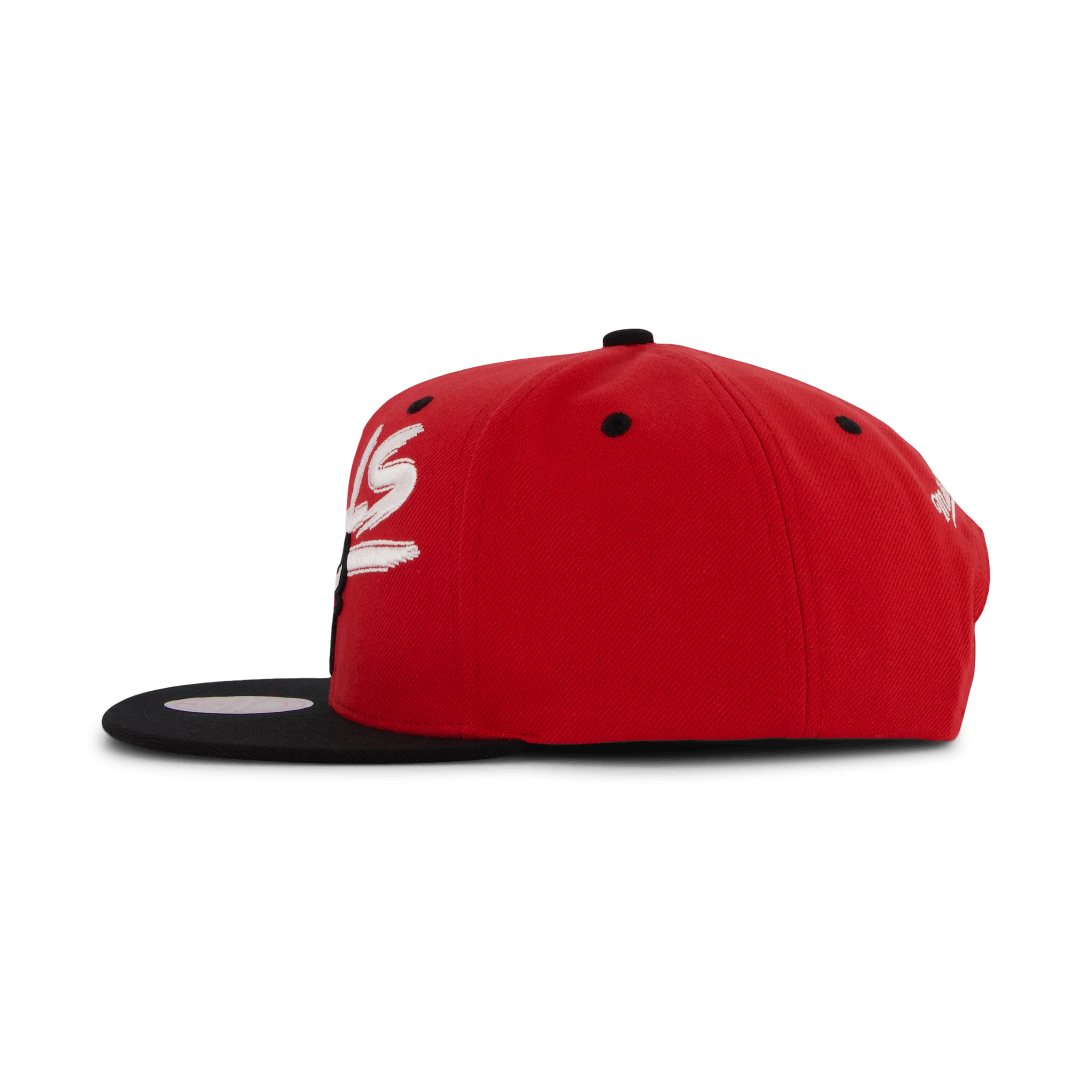 Bulls Transcript Snapback - Image 2