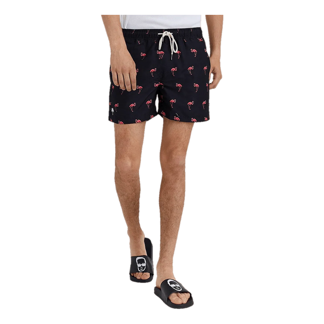 Flamingo Swim Shorts Flamingo
