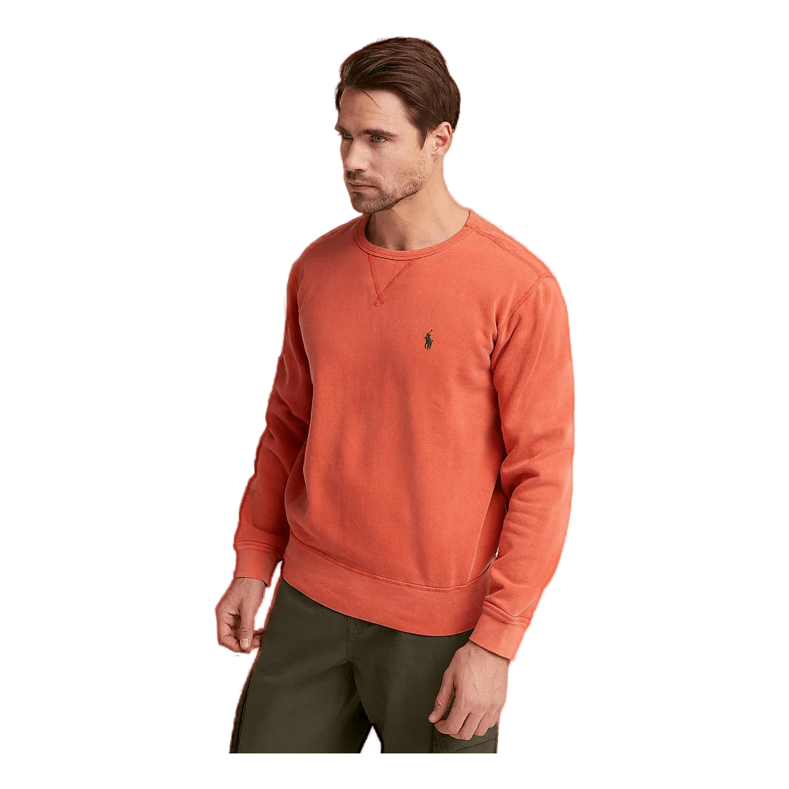Polo Ralph Lauren Rl Fleece Sweater