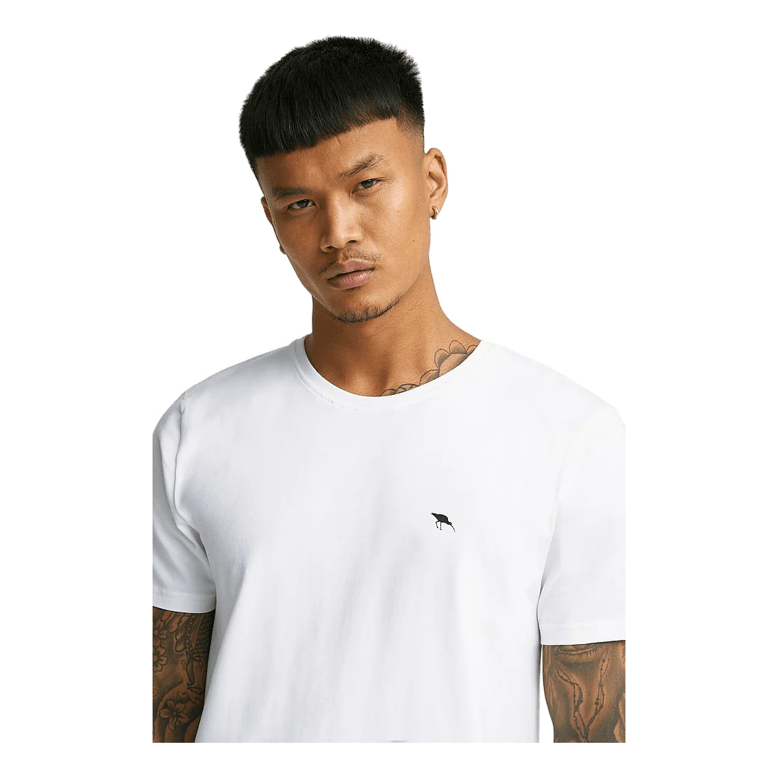 Pesaro Tee M Shell
