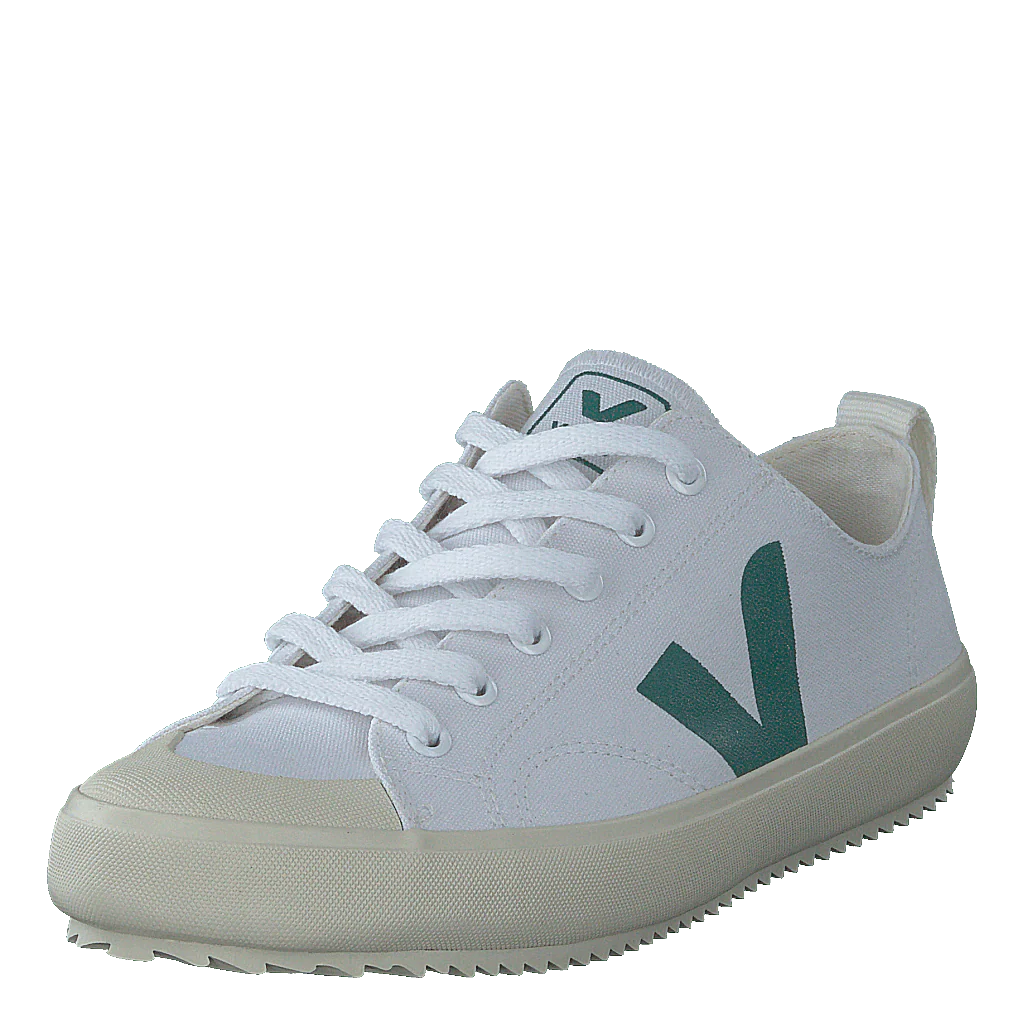 Nova White Brittany - Image 3