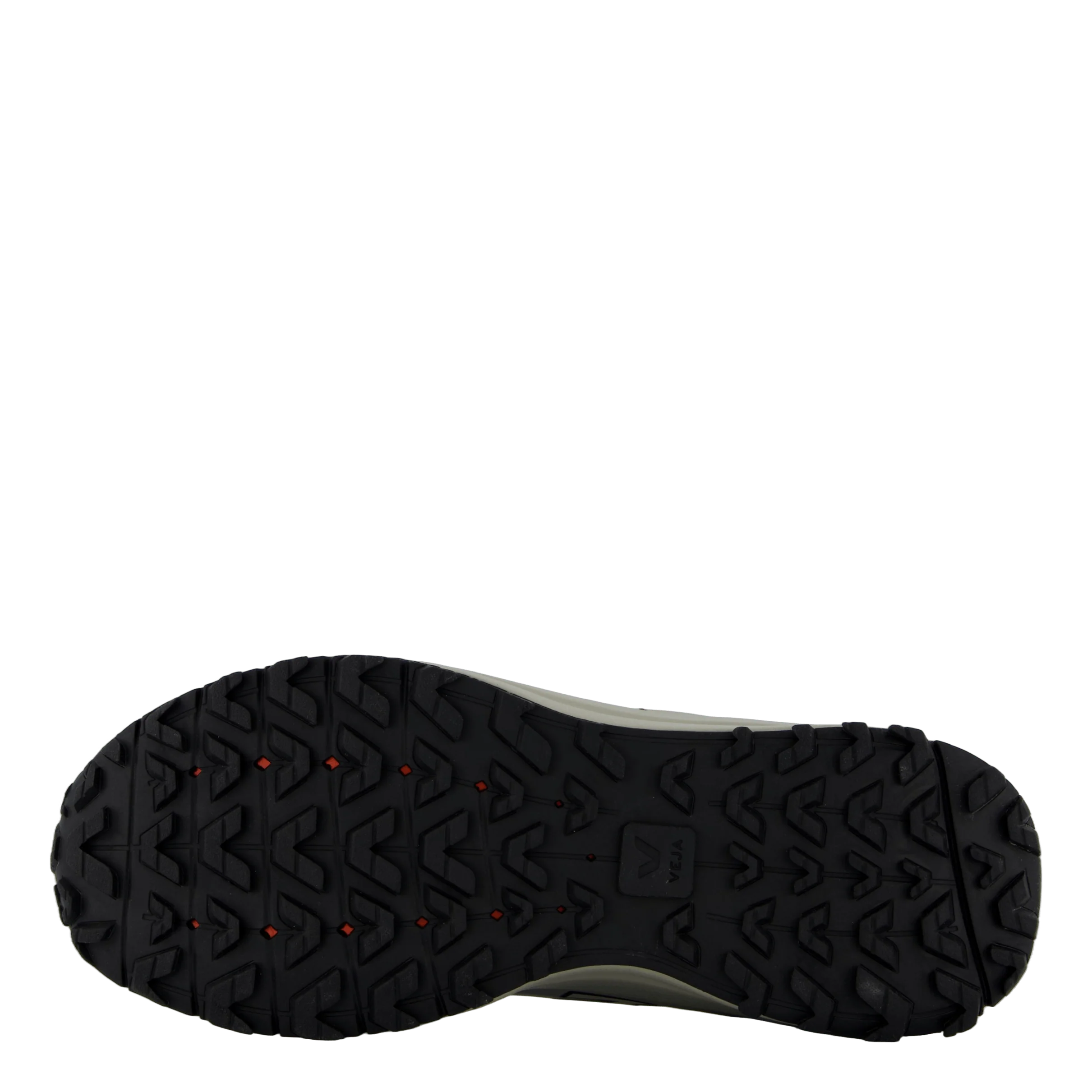 Veja X Etudes Etudes Shark - Image 4